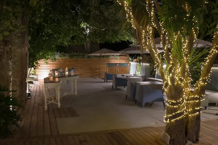 Albero con le lucine nel giardino