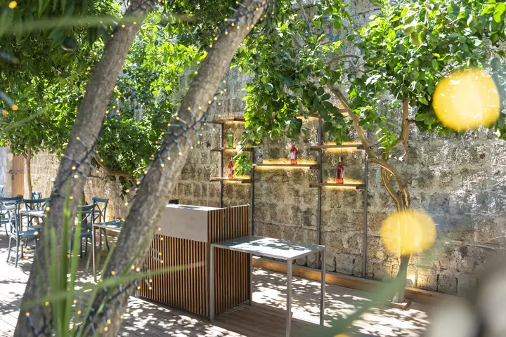 Limoni nel giardino